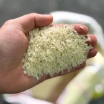 برنج عمده کشت دوم ممتاز (دستچین عبدالوهاب) 50 کیلو (5 کیسه 10 کیلویی ) - Image 4